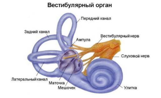 Доброкачественное пароксизмальное позиционное головокружение (ДППГ) 